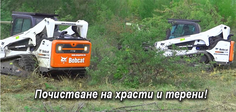 Ryazane Na Opasni Drveta Et Desita